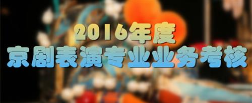 操逼电影网站国家京剧院2016年度京剧表演专业业务考...